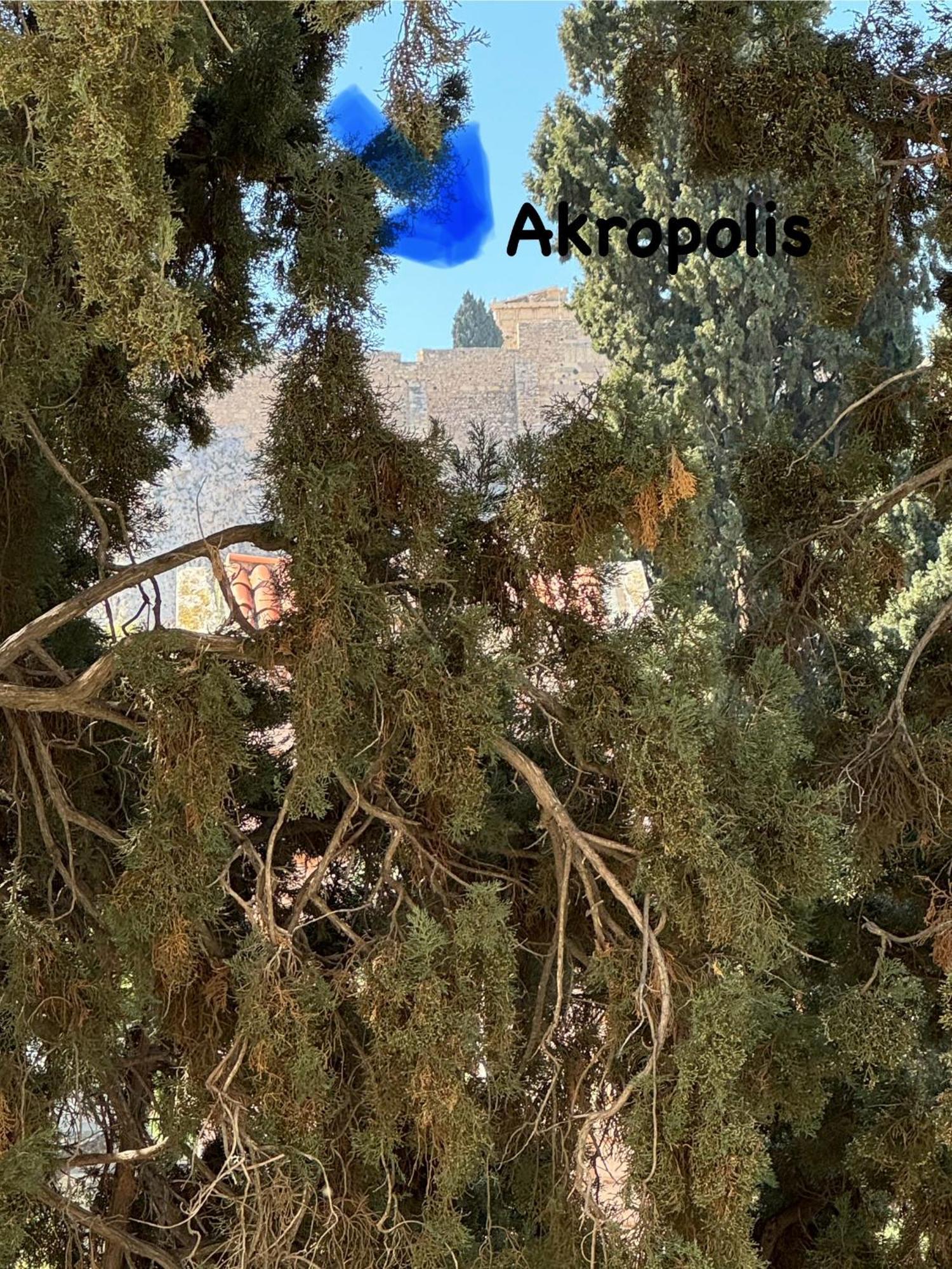 Apartamento Plaka K15 Atenas Exterior foto